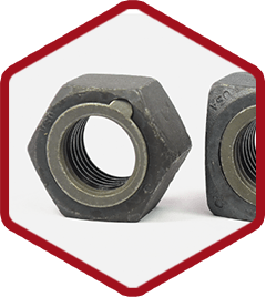 The Original Security Locknut